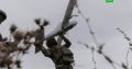 Силы ПВО РФ уничтожили 555 украинских беспилотников за ночь