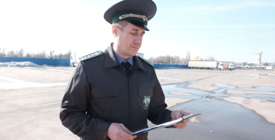 Из Ростовской области в Китай экспортировано более 14 тонн пухоперьевой смеси