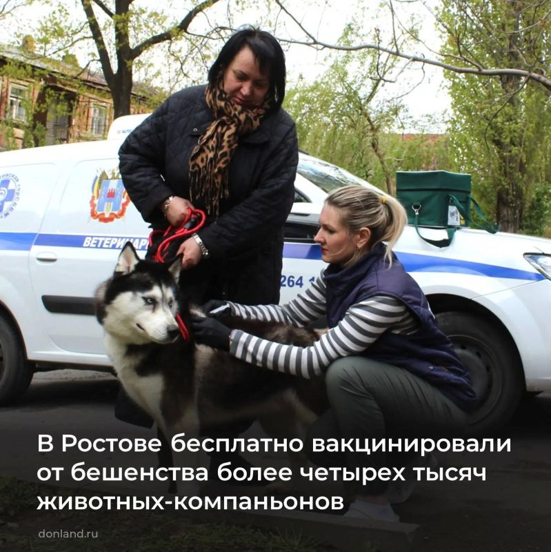 С начала года ветеринары Донского государственного ветеринарного референтного центра бесплатно привили от бешенства более четырех тысяч собак и кошек