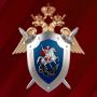 Главе СК России доложат о расследовании обстоятельств нападения безнадзорной собаки на малолетнюю жительницу Ростовской области