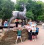 Сегодня воспитанники Центра помощи детям № 1 отправились в Ростовский Зоопарк — и получили массу ярких эмоций! Ребята с восторгом наблюдали за слонами, медведями и другими удивительными животными