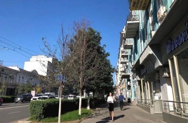 В Ростове выставили на продажу «Дом Максимова»