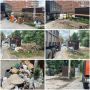 В Батайске продолжают ликвидировать свалочные очаги