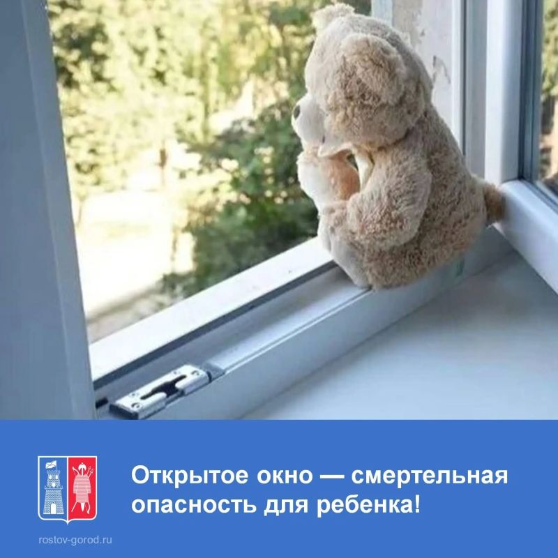 Главная иллюзия защиты — москитная сетка