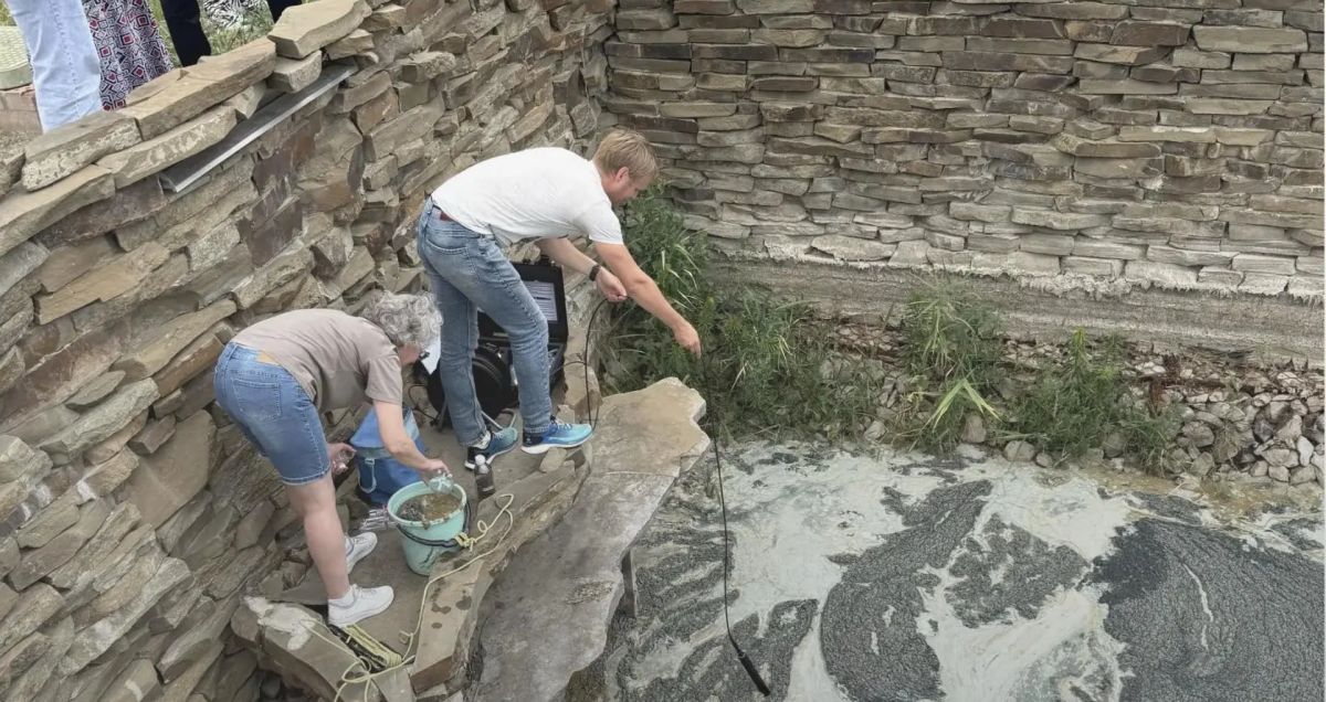 На Соленом озере взяли пробы для установления причины загрязнения воды