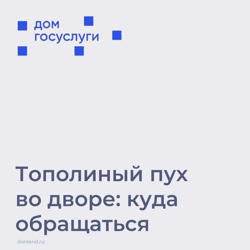Что делать, если двор заполонил тополиный пух