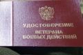 На Дону 1 июля отметят День ветеранов боевых действий