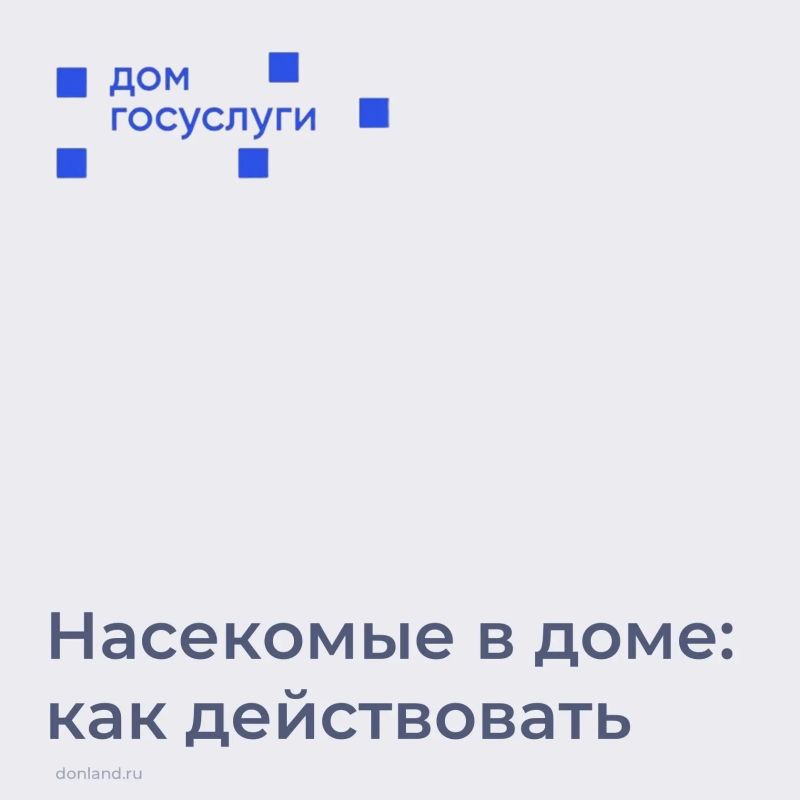 Борьба с насекомыми в многоквартирном доме