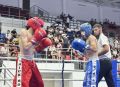 Ростовчане – на пьедестале Всероссийских соревнований по кикбоксингу и Фестивале массового спорта
