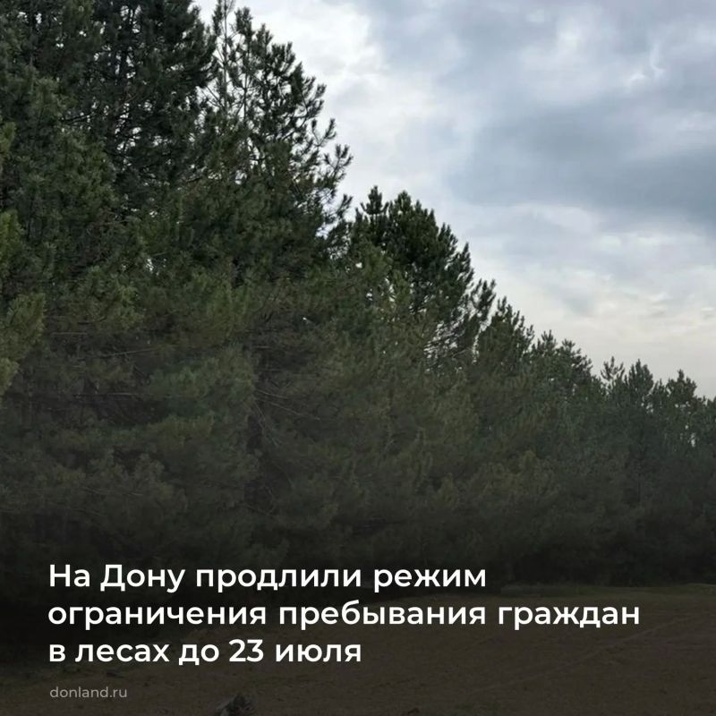 В Ростовской области ограничено пребывание граждан в лесах, а также въезд транспортных средств