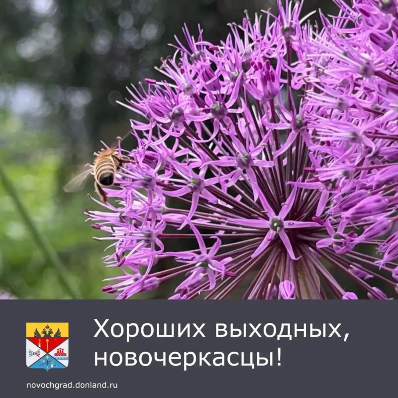 В субботу, 4 июля, ожидается переменная облачность, возможен дождь