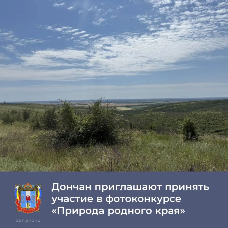 Жители Ростовской, Воронежской, Самарской областей, ЛНР и ДНР могут принять участие в межрегиональном конкурсе фотографий «Природа родного края»