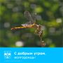 С началом рабочей недели, волгодонцы!