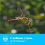 С началом рабочей недели, волгодонцы!