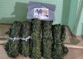 Ростов-на-Дону: адресатам в зону СВО отправлена очередная партия маскировочных сетей