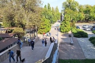 Готовиться ли Таганрогу к нашествию комаров-звонцов и полчищу пауков