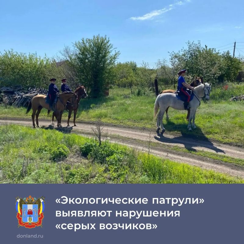 По поручению губернатора Ростовской области Юрия Слюсаря добровольные казачьи дружины присоединились к мероприятиям по выявлению возможных нарушений, допускаемых «серыми возчиками»