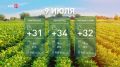 Местам днём дождь и до +36 °С: какая погода ждёт дончан сегодня?