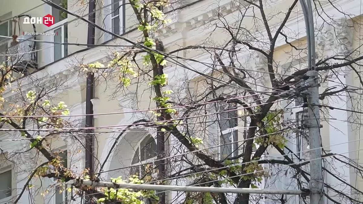 Почему в центре Ростова пилят деревья?