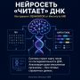 «Читать» геном, защищать от радиации и лечить рак без побочных эффектов: прорыв русских ученых