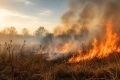 В Ростовской области сохраняется высокая пожароопасность