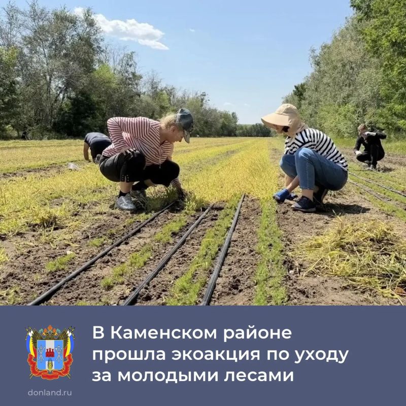 В Каменском районе прошла экоакция «Ликвидация зелёного пожара»