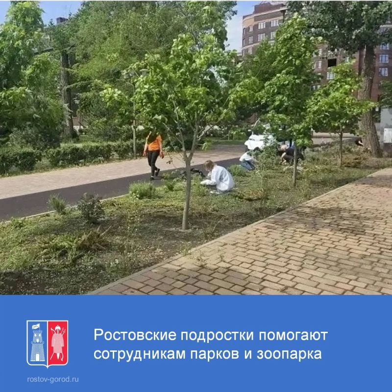 Лето — это не только время отдыха, но и отличная возможность получить первый трудовой опыт, принести пользу родному городу