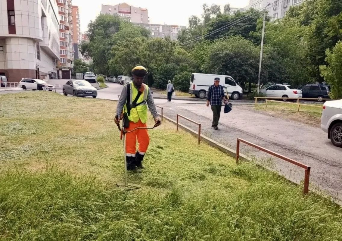 В Ростове с апреля покошено 3 тыс. га газона и сорной растительности