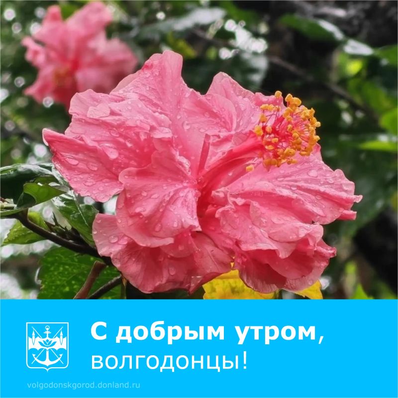 Доброе утро, жители Волгодонска!