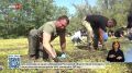 «Зеленый пожар» ликвидируют в Каменском районе