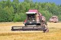 На Дону птенцов спасли из-под комбайна