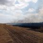 В Заветинском районе пожар уничтожил 8 гектаров пшеницы