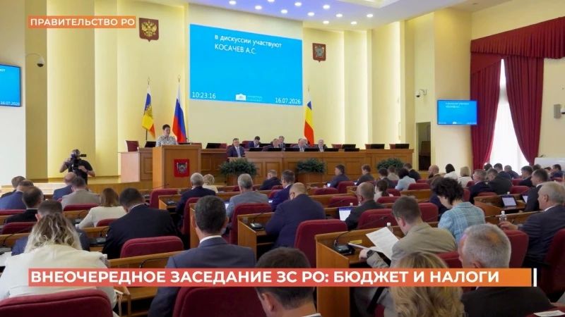 Новый инструмент поддержки детского спорта появился в Ростовской области