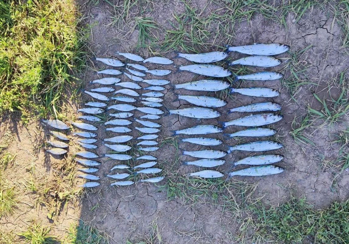 В Ростовской области задержали двух браконьеров