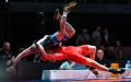 Ростовчане выиграли медали в Будапеште