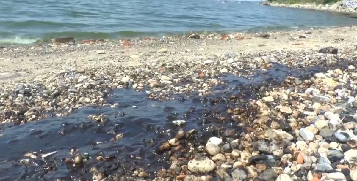 В Таганроге содержание нефтепродуктов в морской воде находится в пределах нормы