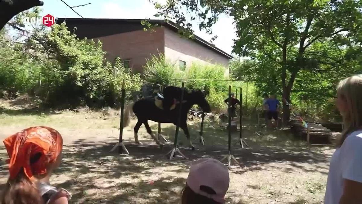 На базе Новочеркасского эколого-биологического центра работает конная школа, где обитают уникальные лошади донской породы – знаменитые дончаки