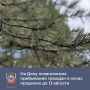 В Ростовской области ограничено пребывание граждан в лесах, а также въезд транспортных средств