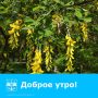 С добрым утром, волгодонцы!