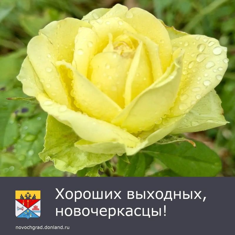 Суббота, 25 июля ожидается дождливая
