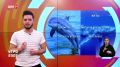 Дельфины или киты: кто вызывает больше восхищения?