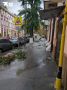 А такая обстановка сейчас в центре: разбросаны ветки, поваленные шквалистым ветром и обильными осадками