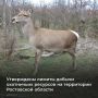 Глава региона Юрий Слюсарь утвердил лимит добычи охотничьих ресурсов в Ростовской области