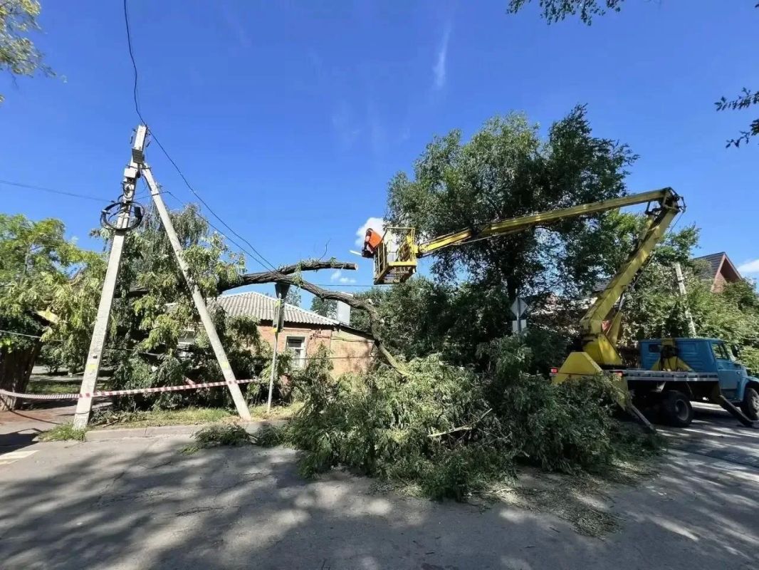 356 поваленных во время урагана деревьев ликвидировали в Ростове