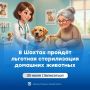 � ������ 30 ���� ������ �������� ������������ �������� ��������