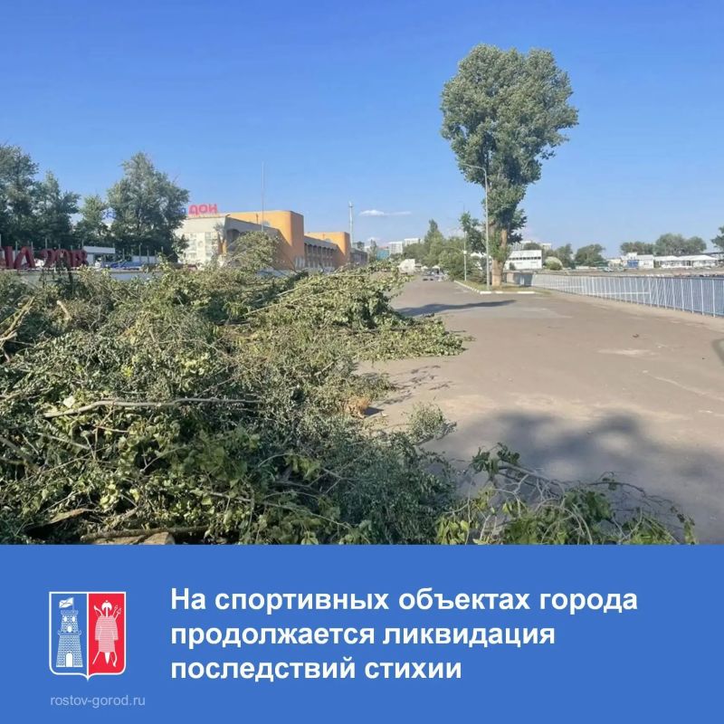 Поваленные деревья убраны на территории Гребного канала «Дон», с беговых дорожек стадиона «Арсенал»