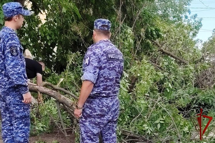 Сотрудники вневедомственной охраны Росгвардии устранили последствия урагана в Ростовской области