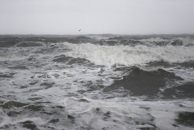 Водолазы в Сочи обнаружили бездыханным пропавшего двое суток назад мужчину