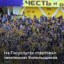 В приложении «Госуслуги Карта болельщика» стартовал собственный чемпионат для болельщиков