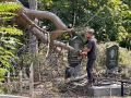На Армянском кладбище Ростова продолжают устранять последствия урагана, сообщает администрация города